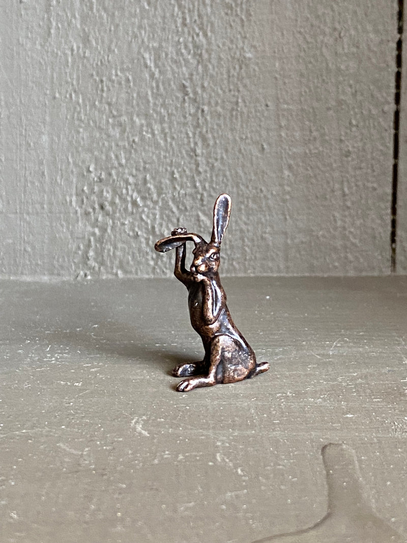 Bronze Hare Holding Ear