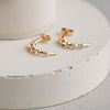 Gazelle Collection Gold Everyday Earrings