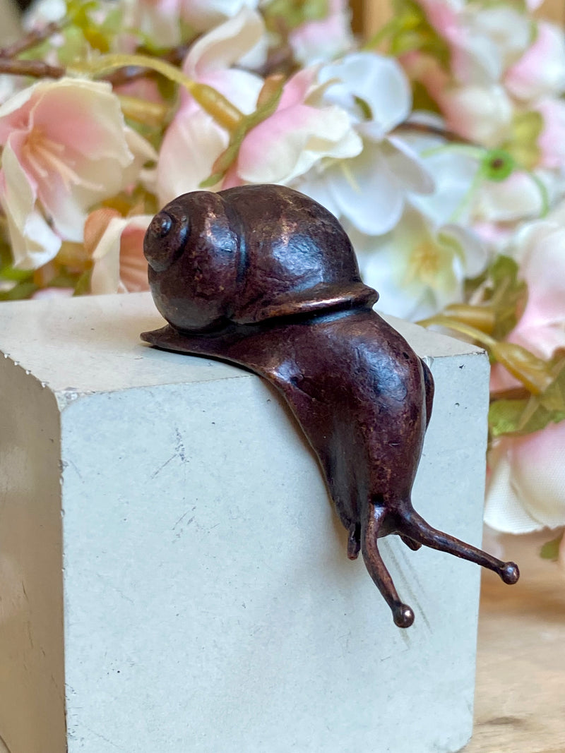 Miniature Bronze Snail Over The Edge