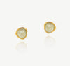 Lemongrass Studs