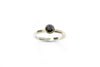 Our Dotty Dot Black Diamond Solitaire Set on a Plain Square Band