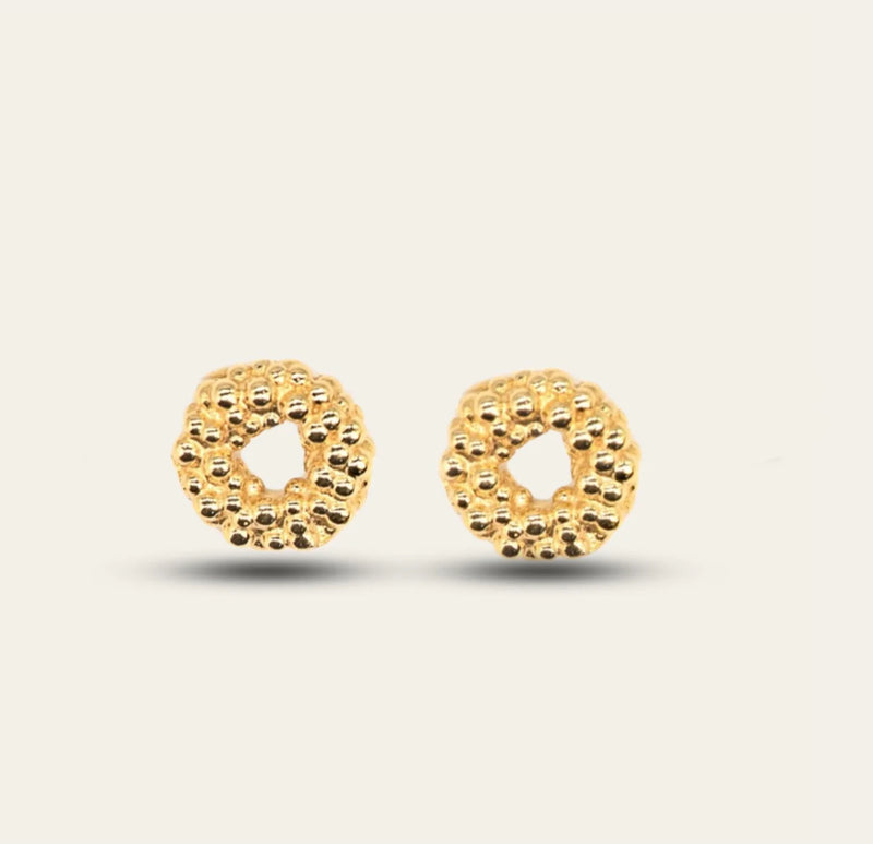 Mini Gold Barnacle Hoop Studs
