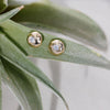 Dotty Solid Gold Diamond Earrings