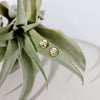 Dotty Solid Gold Diamond Earrings
