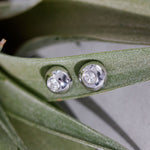 Dotty Solid White Gold Diamond Earrings